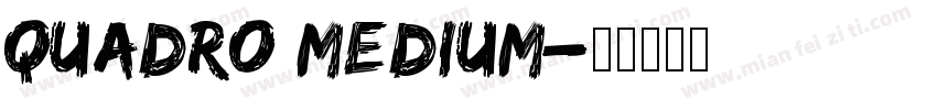 quadro Medium字体转换